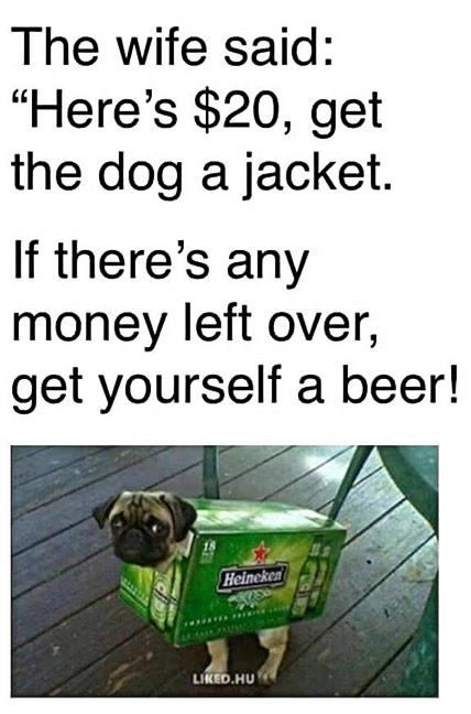 Dog-Jacket.jpg