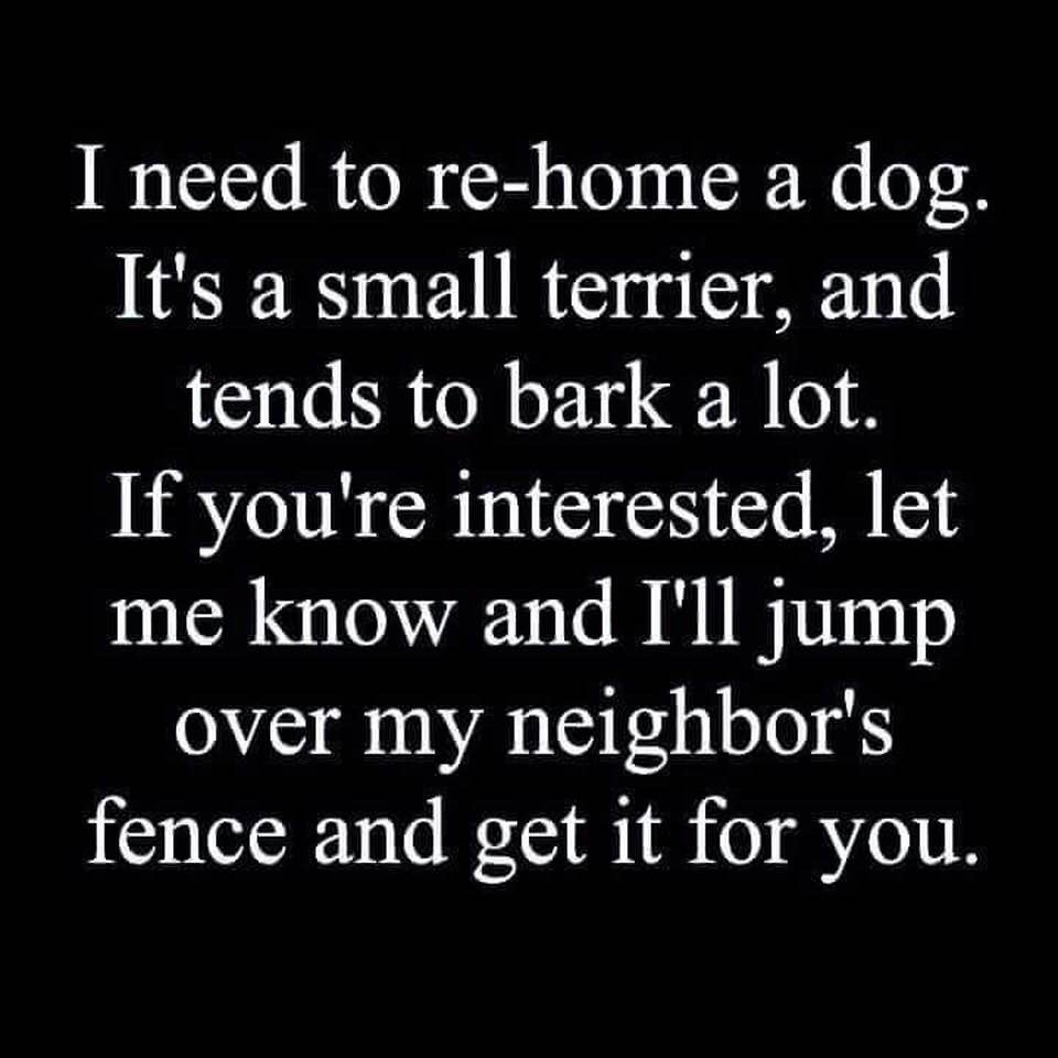 dog.jpg