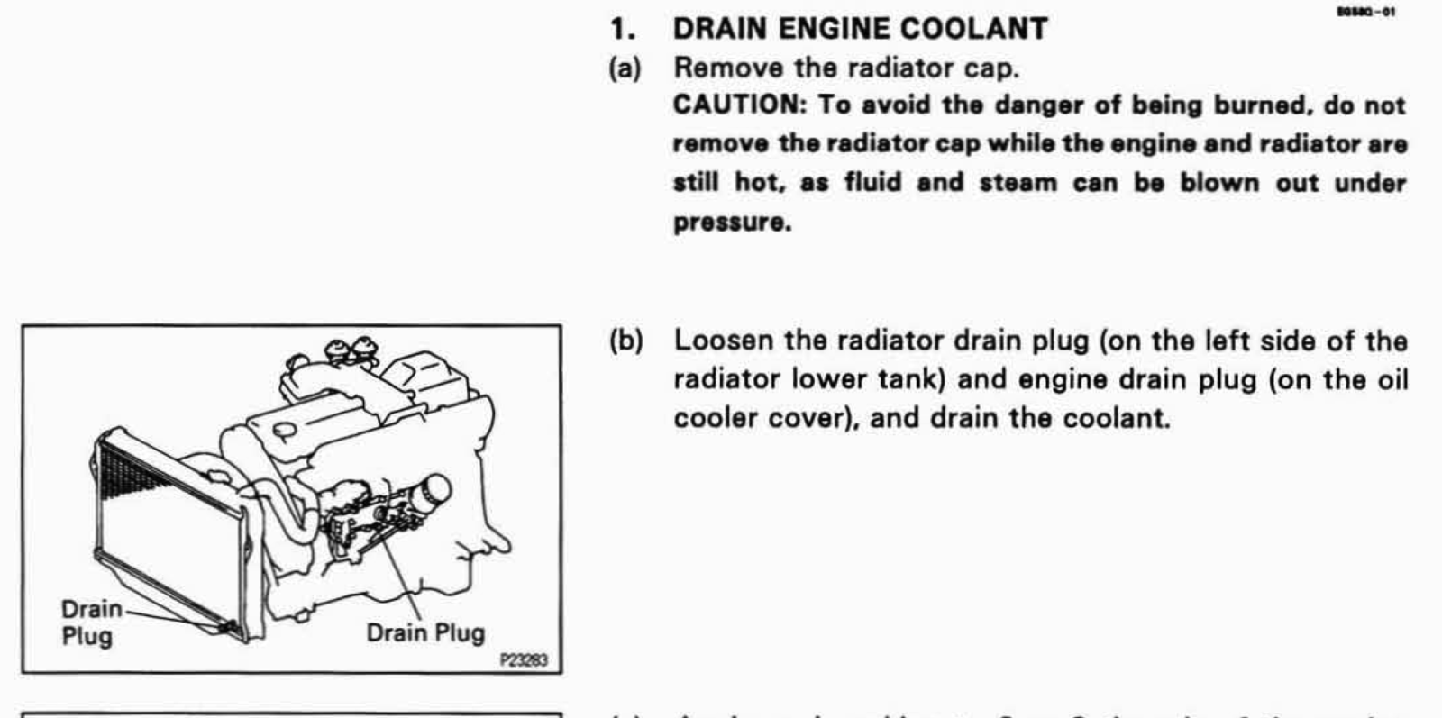 Drain Plug.png