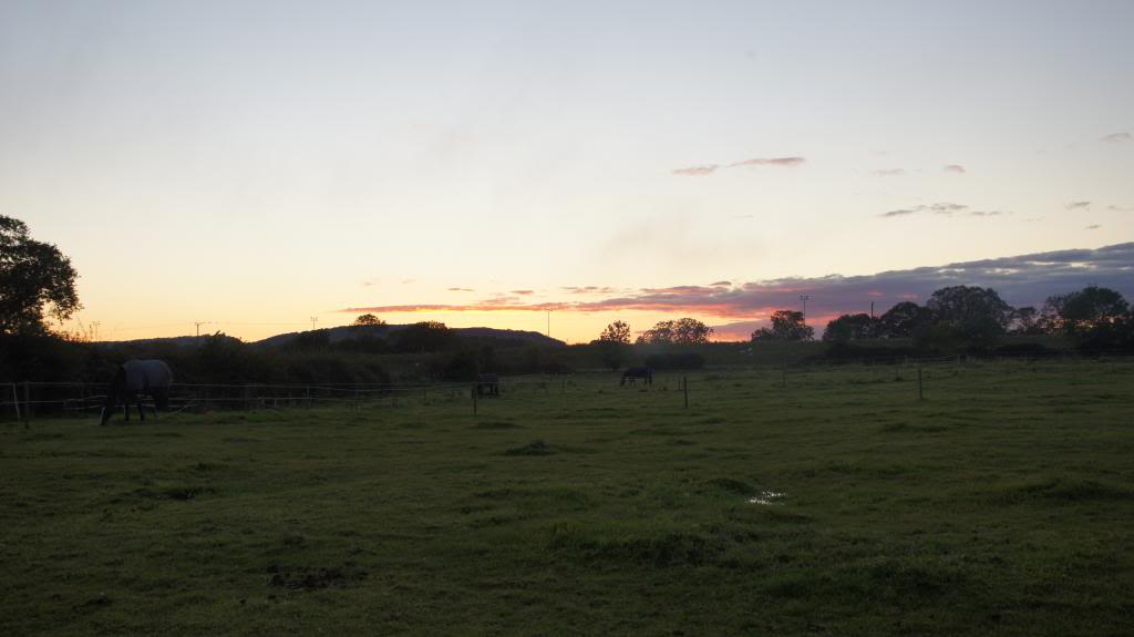 DSC00080_zpsb97dd485.jpg
