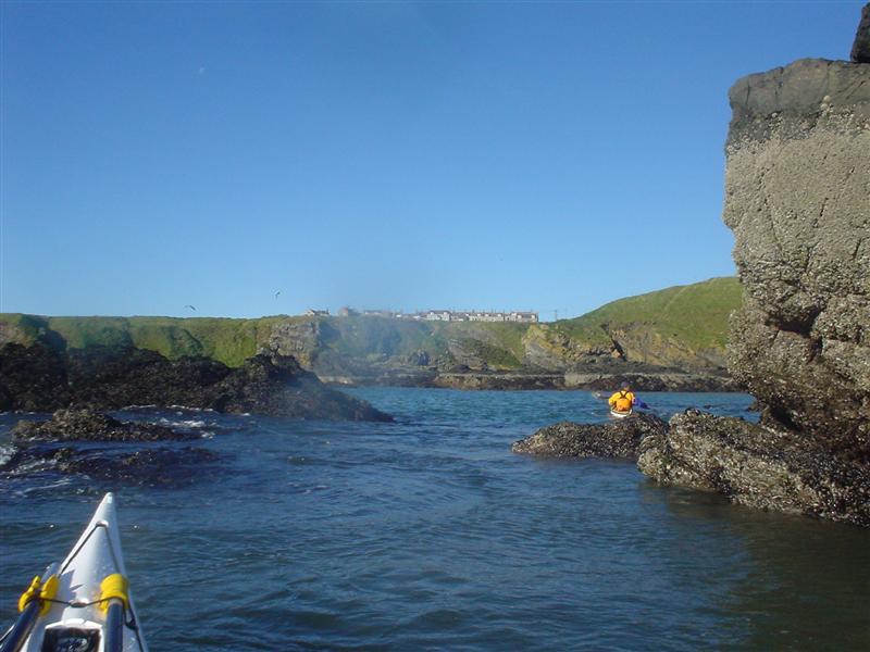 DSC00125 (Medium).JPG