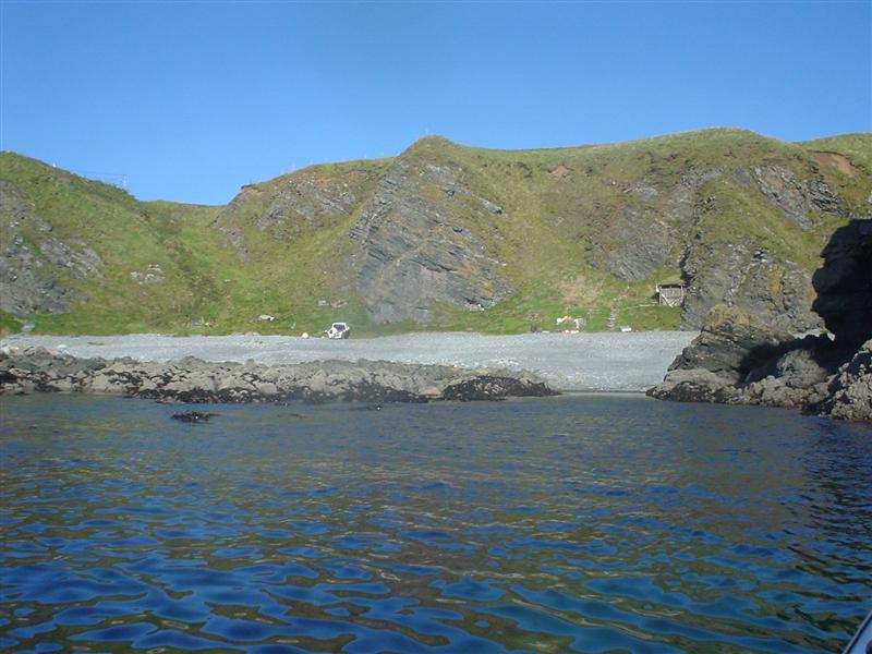 DSC00126 (Medium).JPG