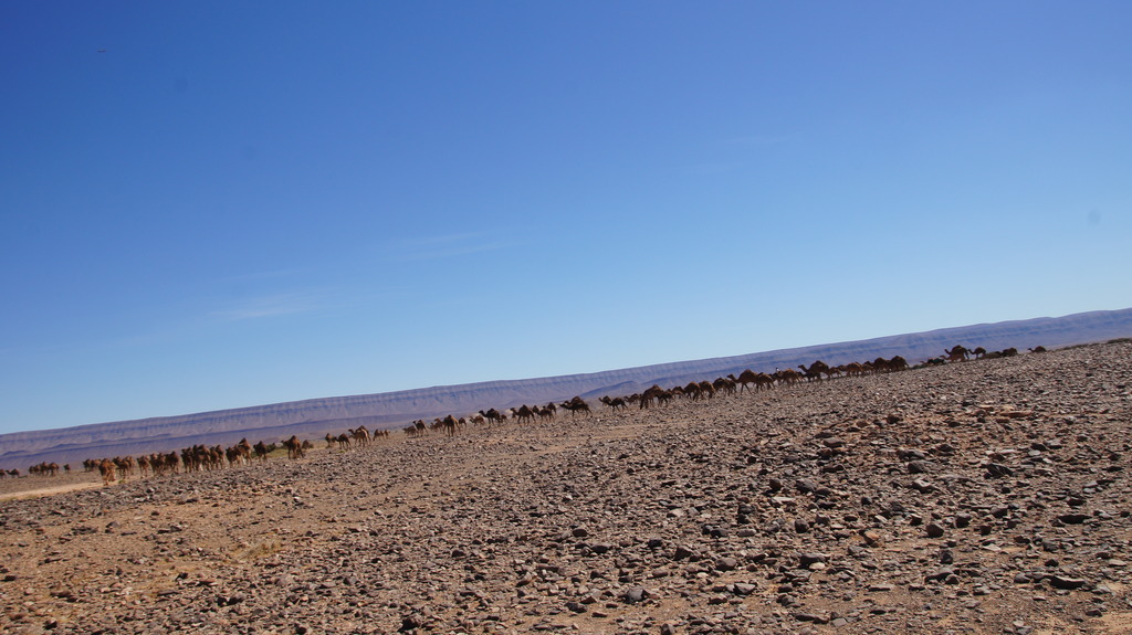 DSC00655_zpsdlveu4ey.jpg