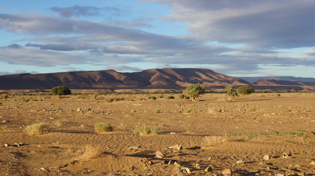 DSC00683_zpsxkoqvu2f.jpg