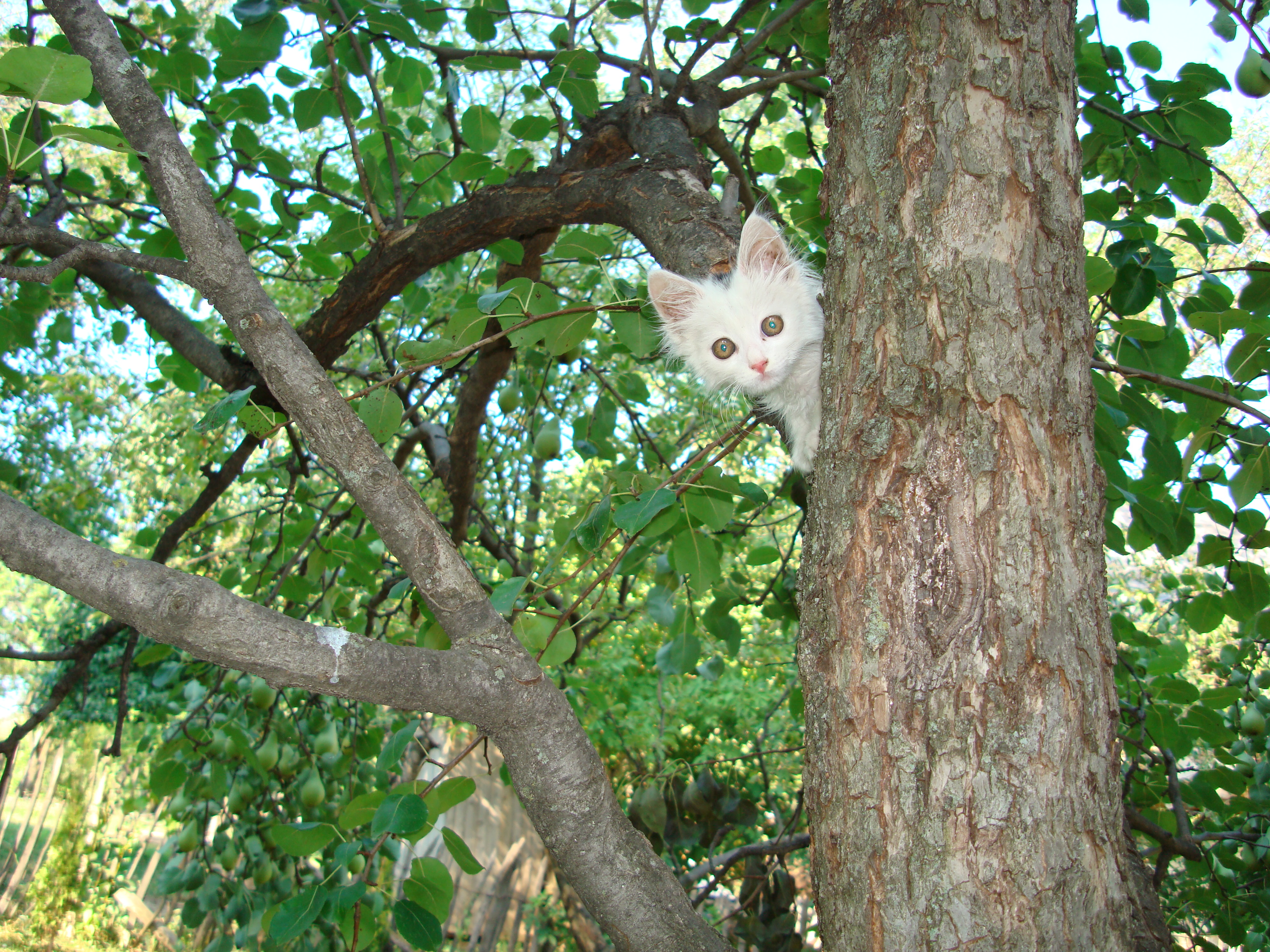 DSC00723.JPG