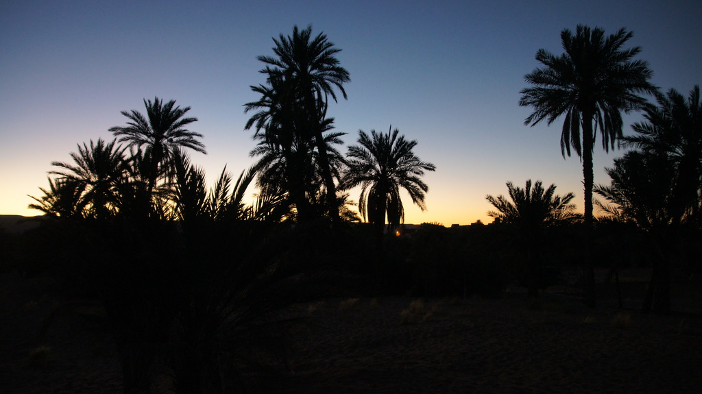 DSC00904_zps1ervqrg1.jpg