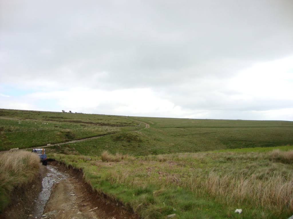 DSC00975.jpg