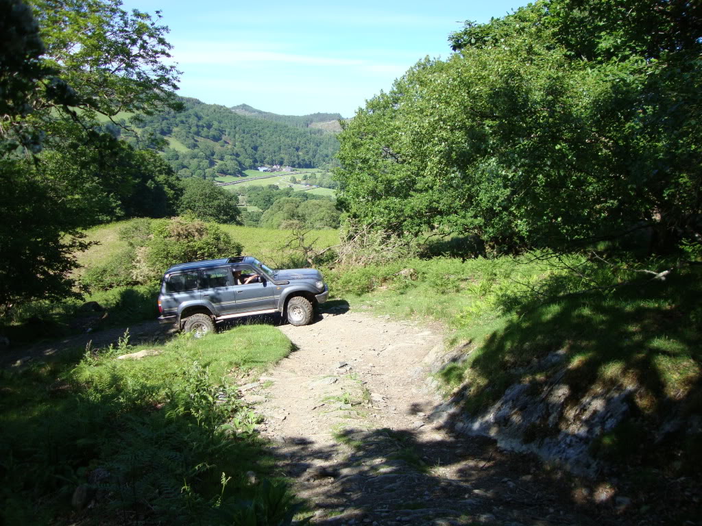 DSC01054.jpg