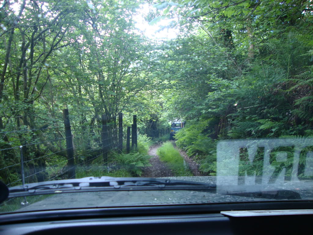 DSC01082.jpg