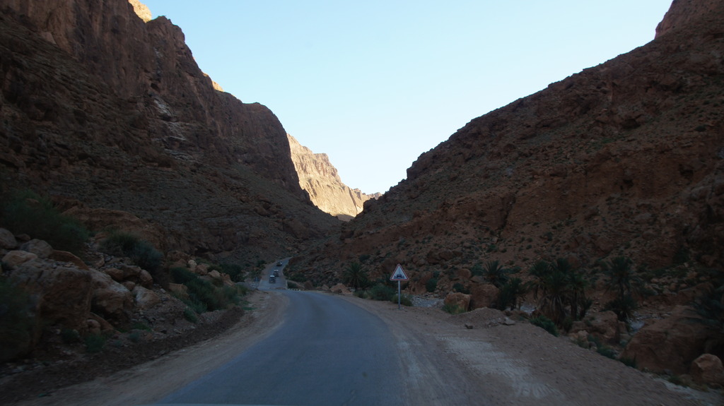 DSC01121_zpsonpzpdds.jpg
