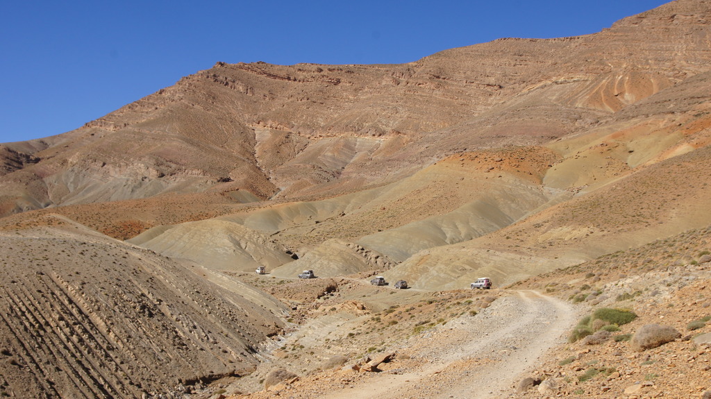 DSC01181_zpsh11zvxq5.jpg