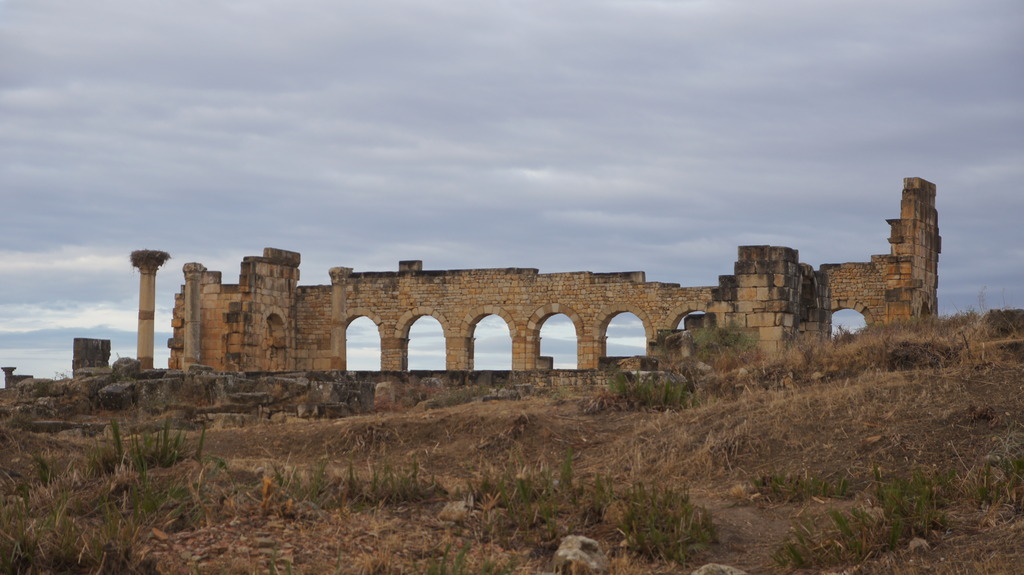 DSC01285_zpsjvflacop.jpg
