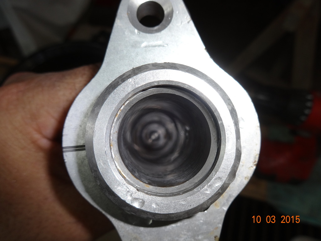 DSC02017.jpg