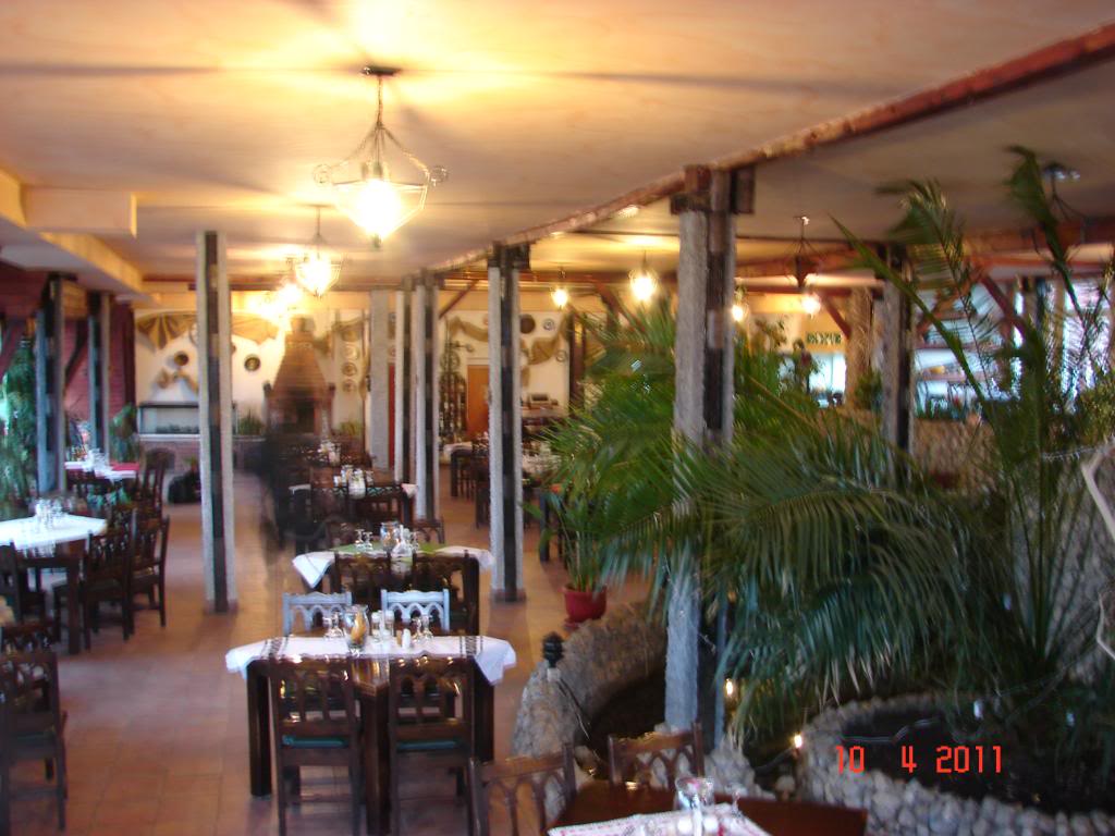DSC02501.jpg