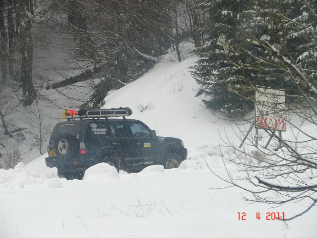 DSC02602.jpg