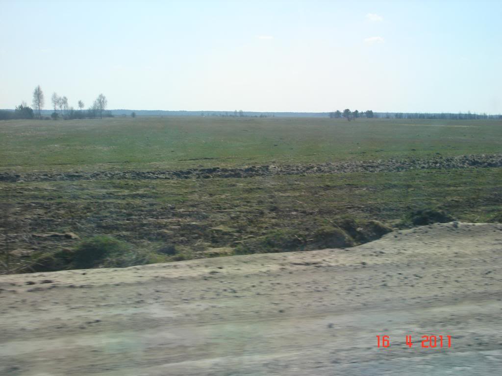 DSC02707.jpg