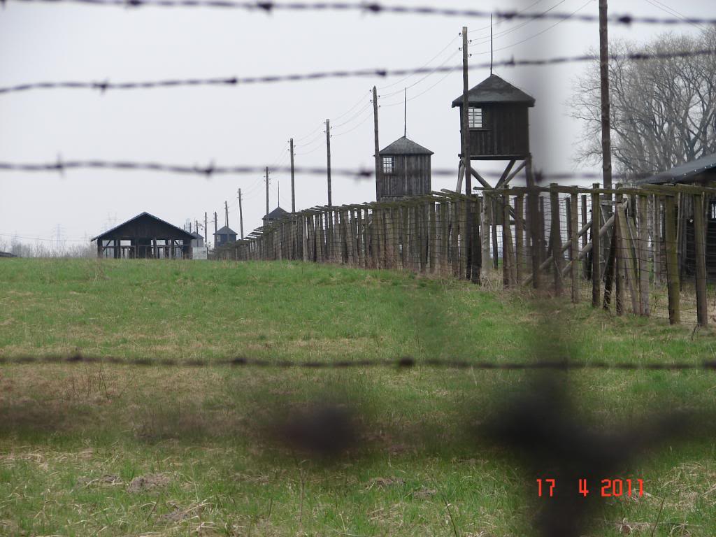 DSC02725.jpg