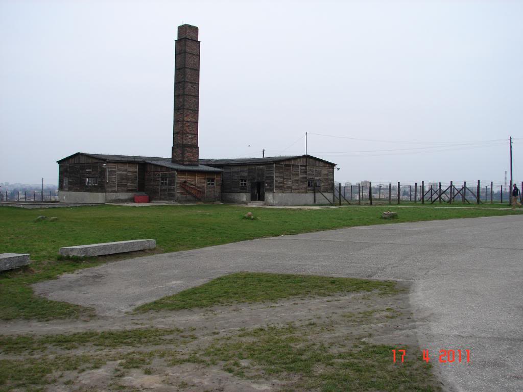 DSC02741.jpg