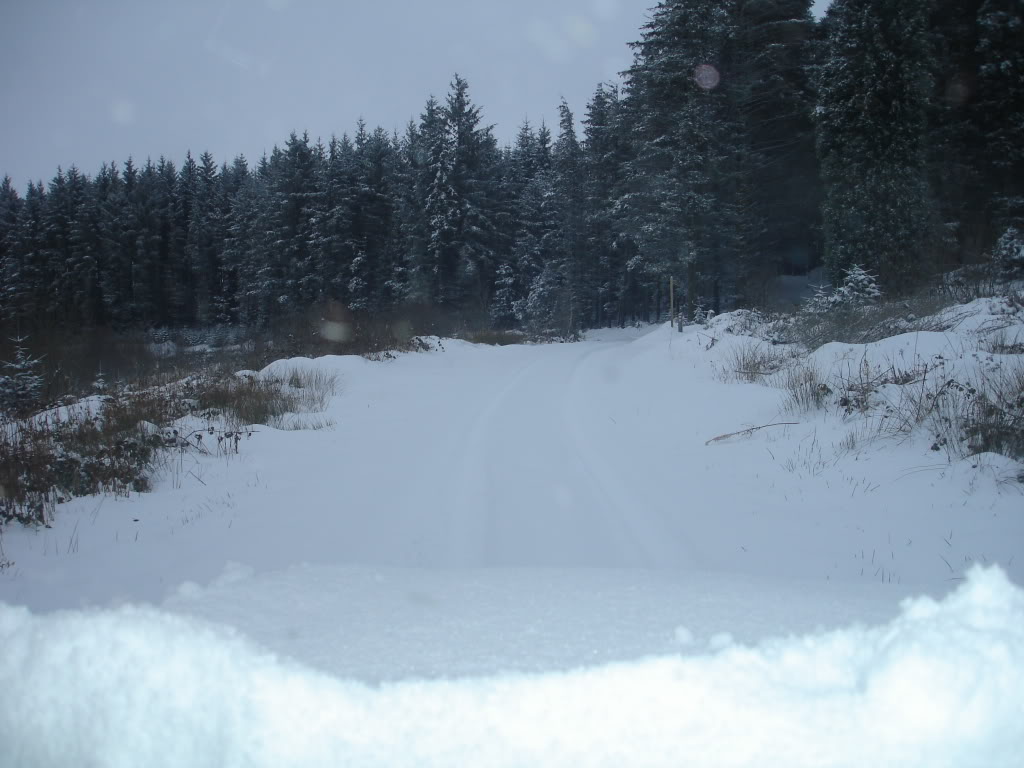 DSC02845.jpg