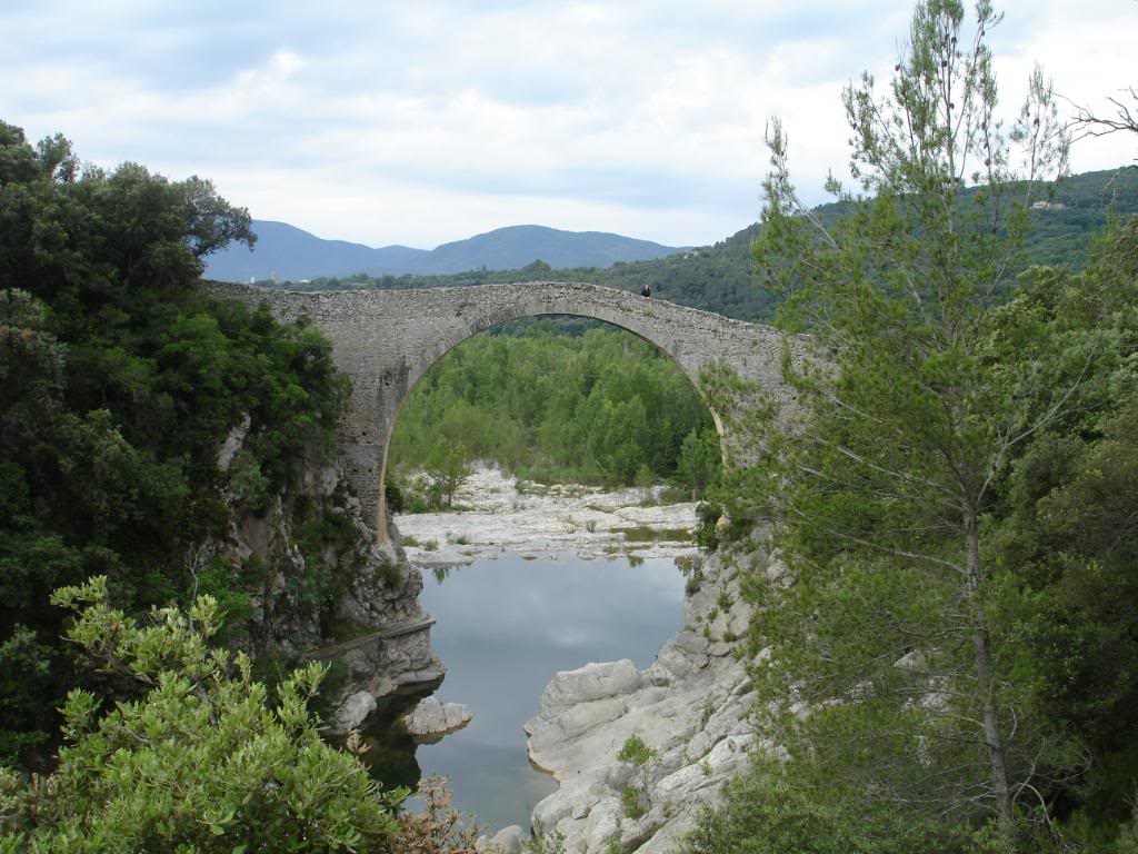 DSC03054.jpg