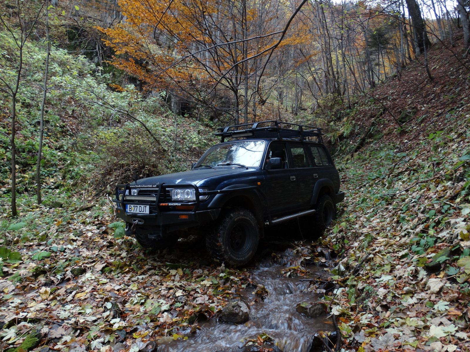 DSC05701a.jpg