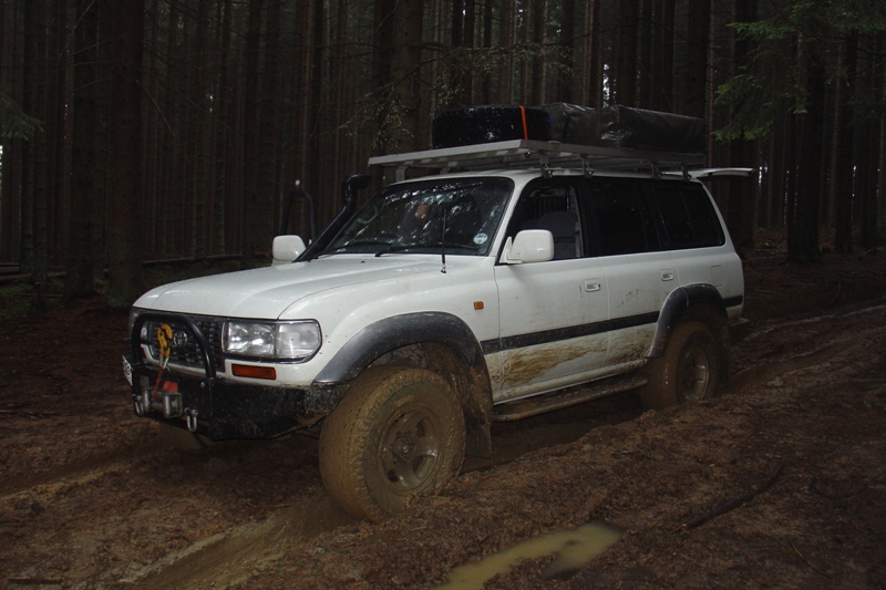 DSC08386.JPG