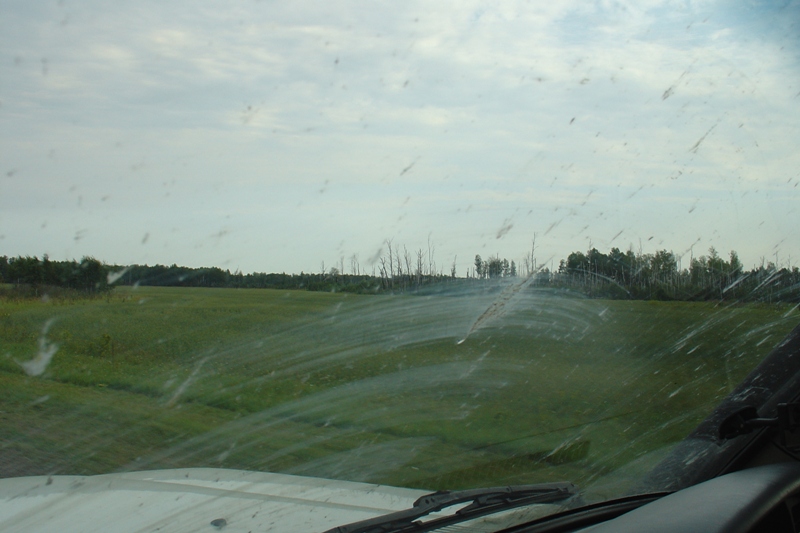 DSC08559.JPG