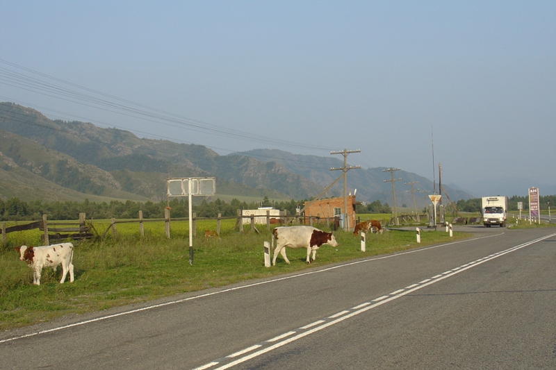 DSC08655.JPG
