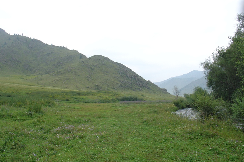 DSC08668.JPG
