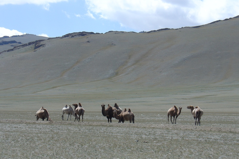 DSC08767.JPG
