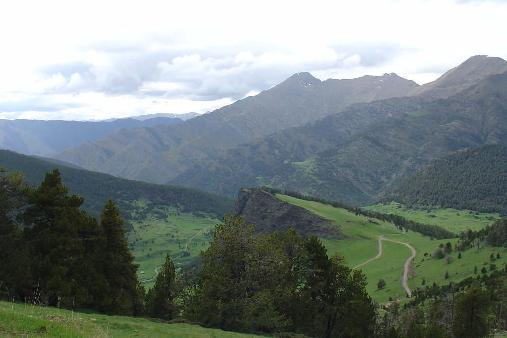 DSC09823.JPG