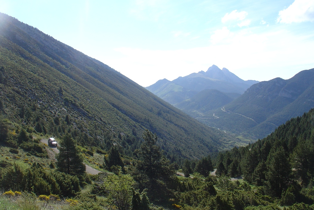 DSC09918.JPG