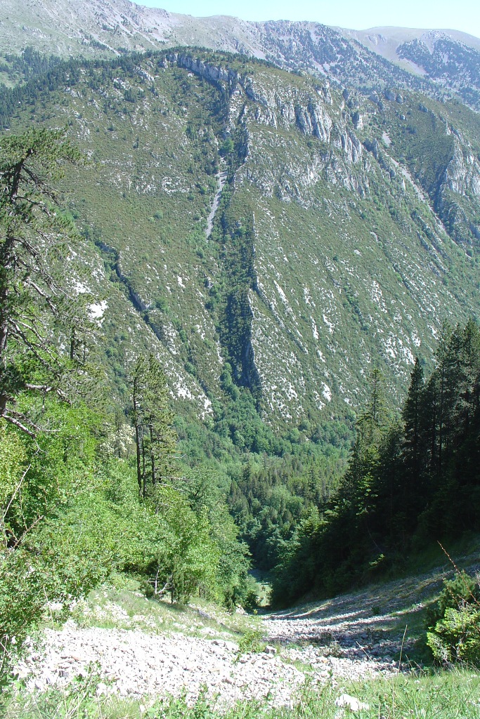 DSC09931.JPG