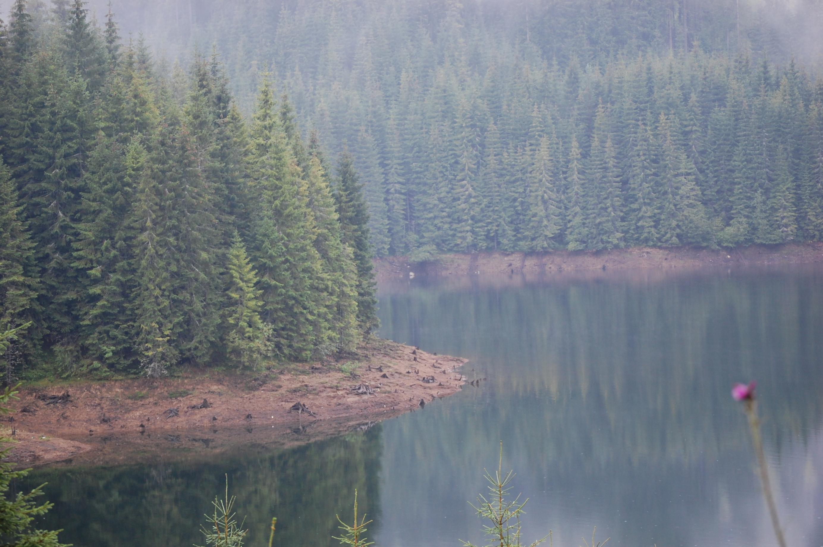 DSC_0013.jpg
