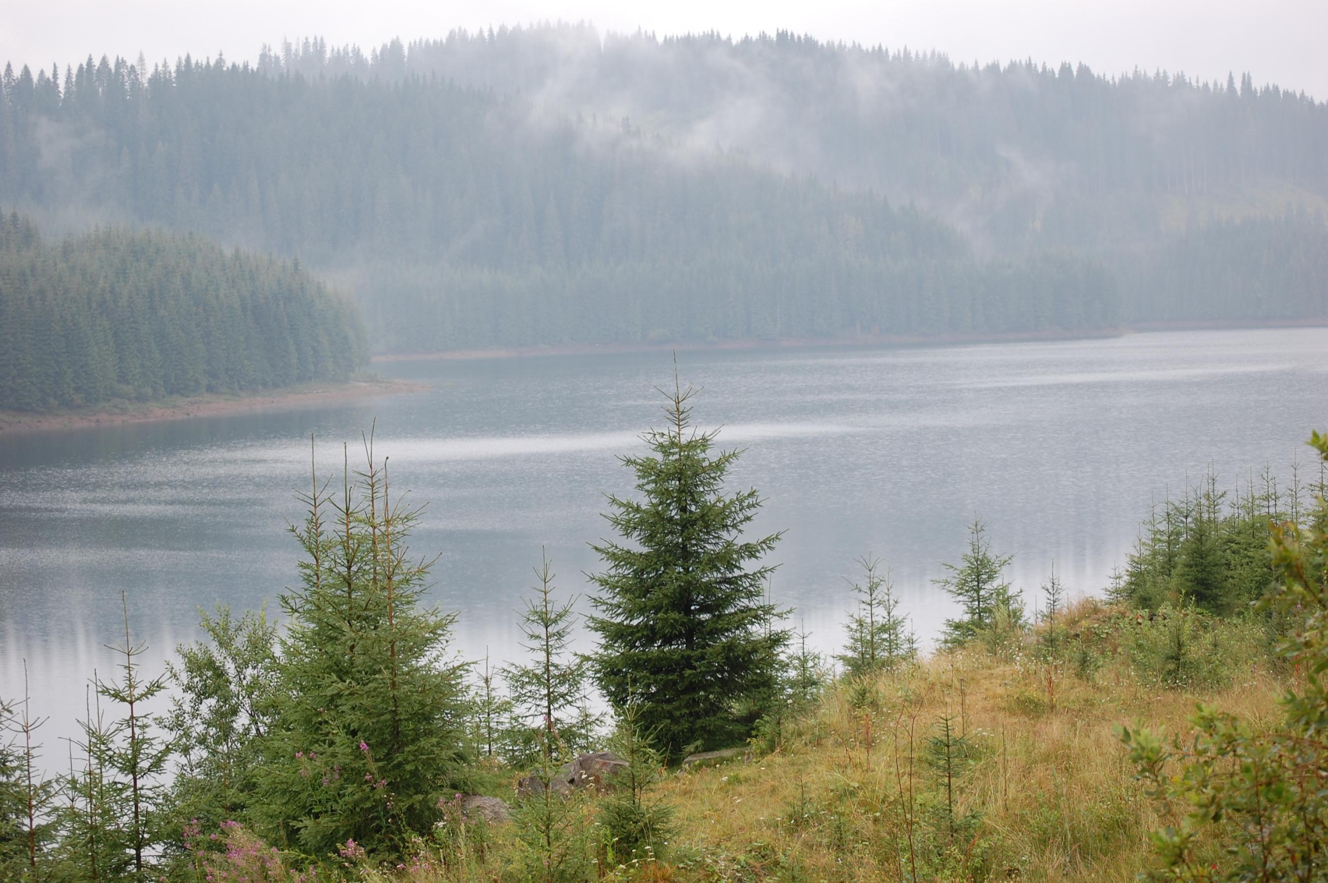 DSC_0017.jpg