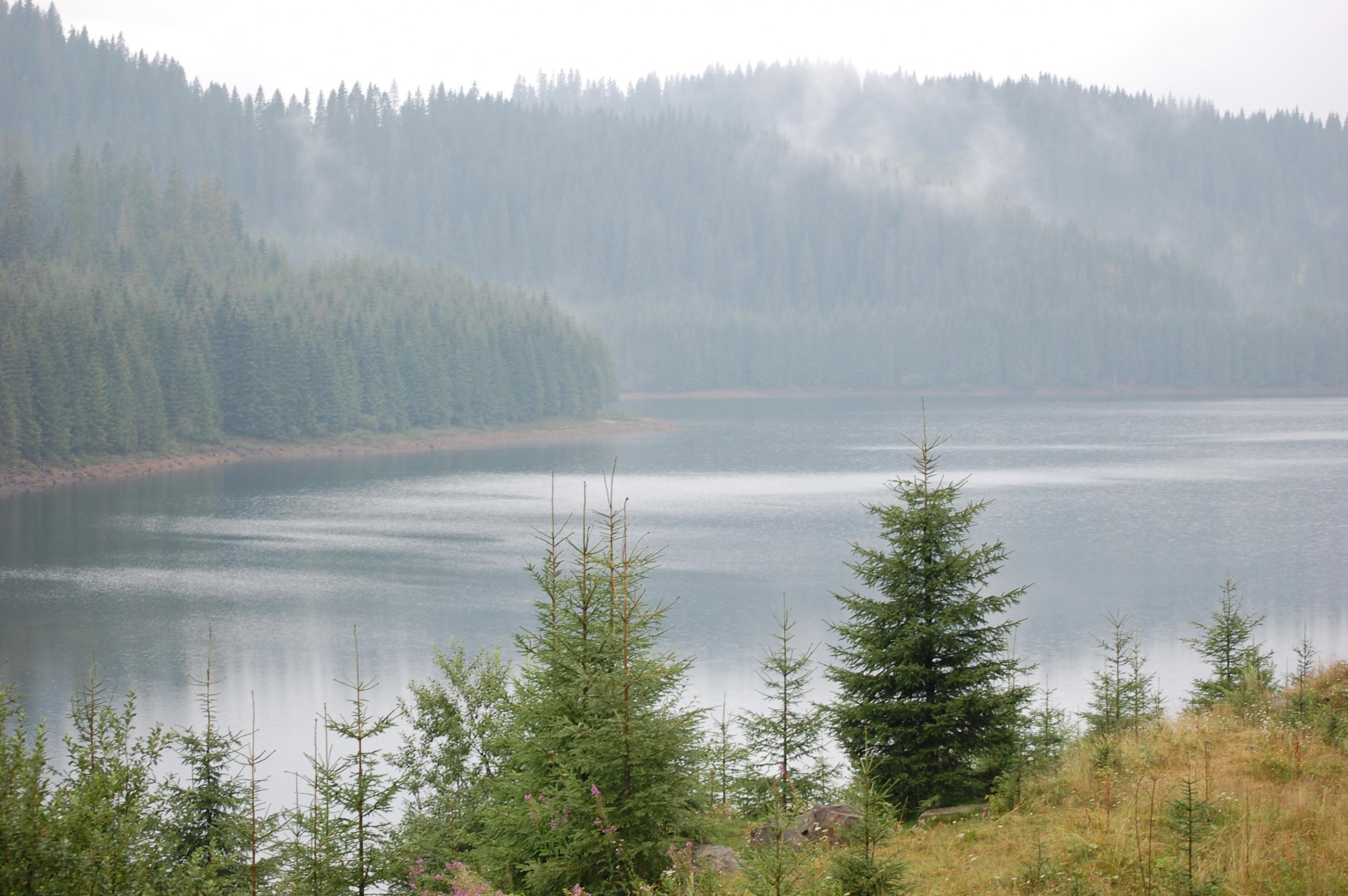 DSC_0023.jpg