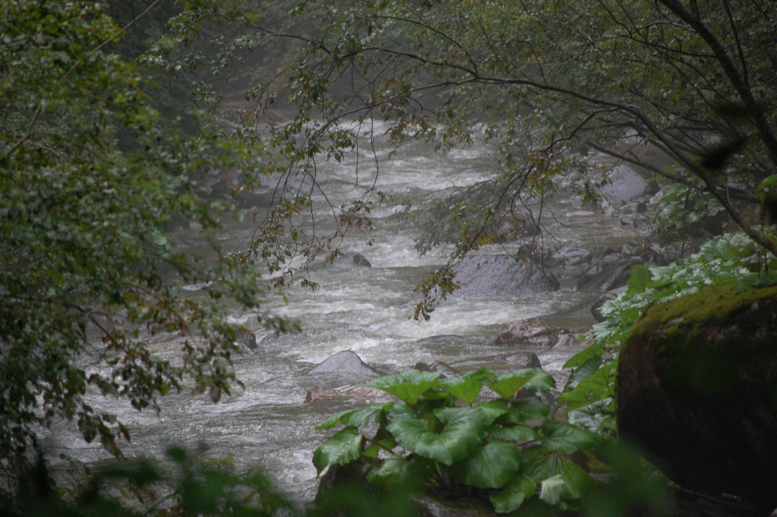 DSC_0036.jpg