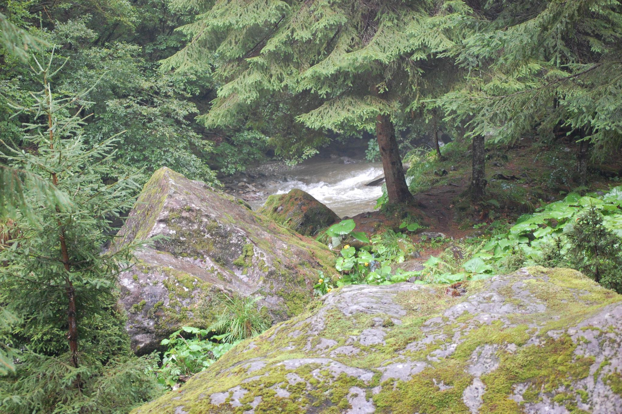 DSC_0038.jpg