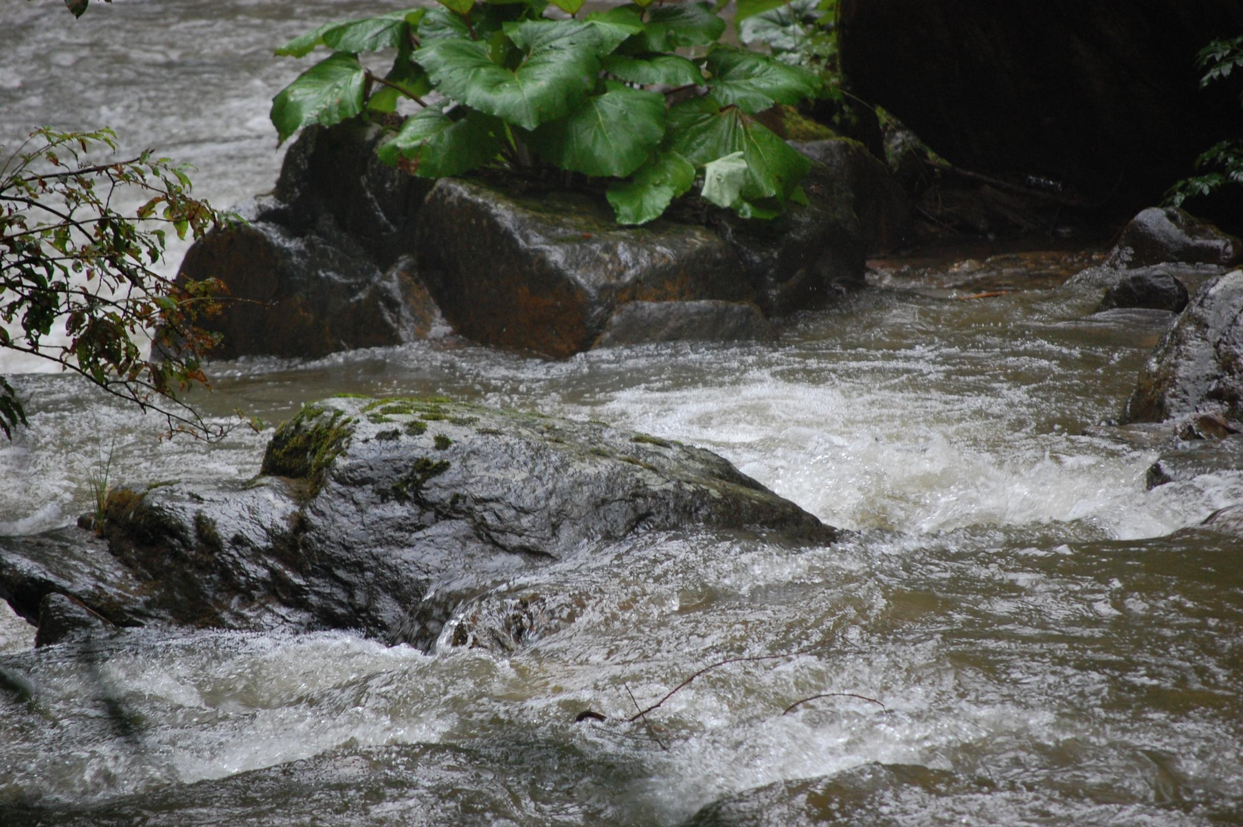 DSC_0044.jpg