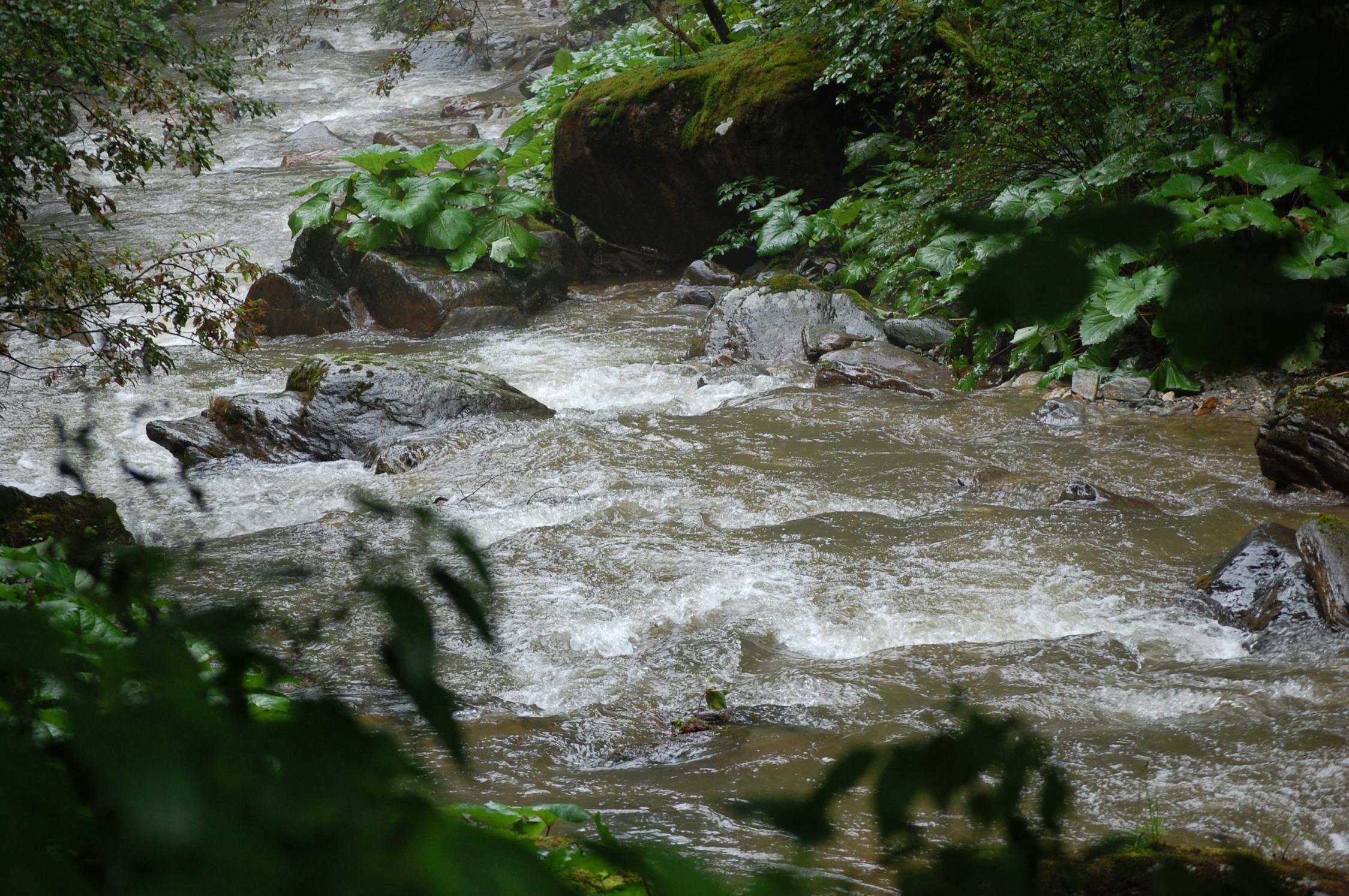 DSC_0045.jpg