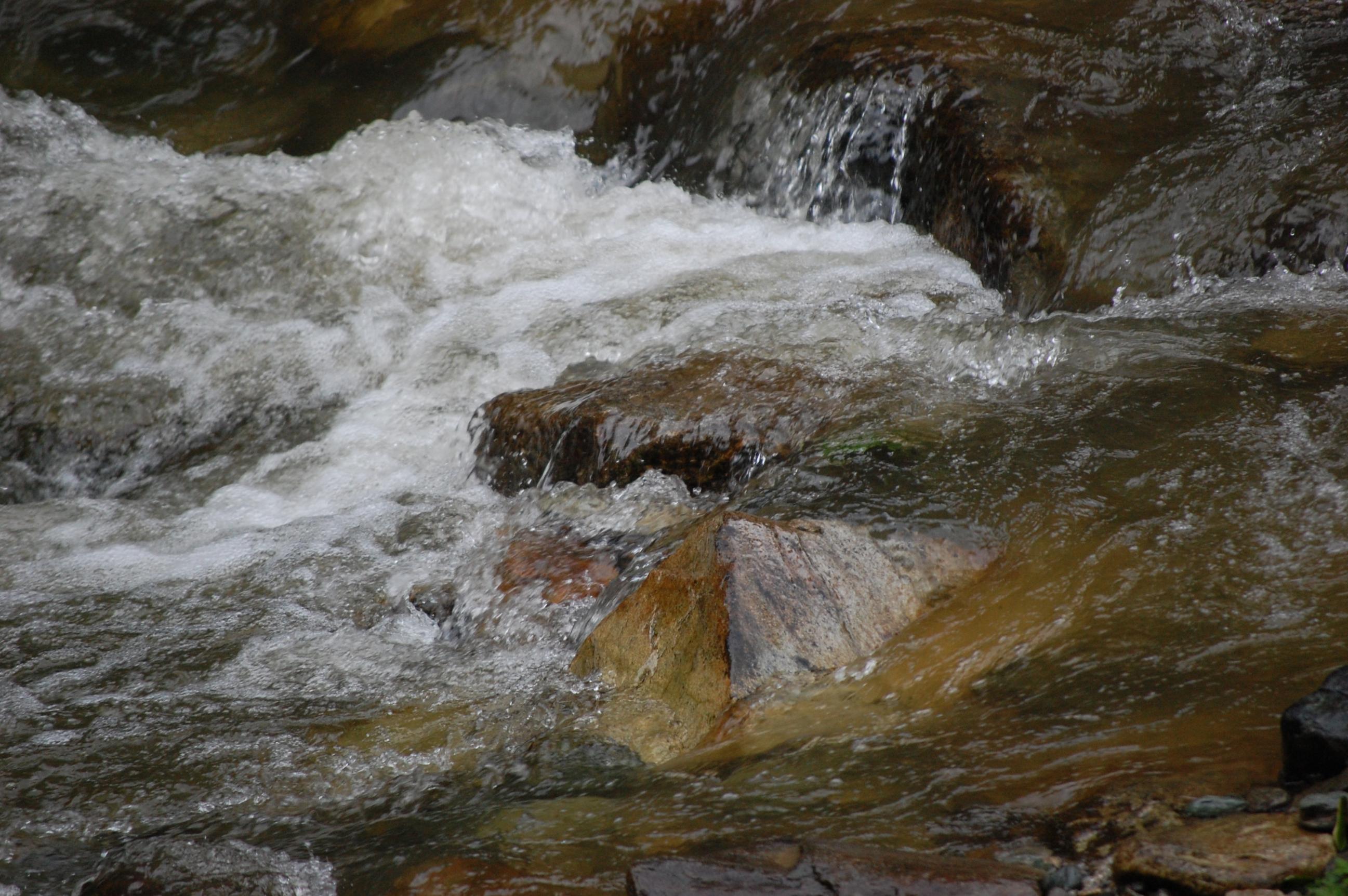 DSC_0047.jpg