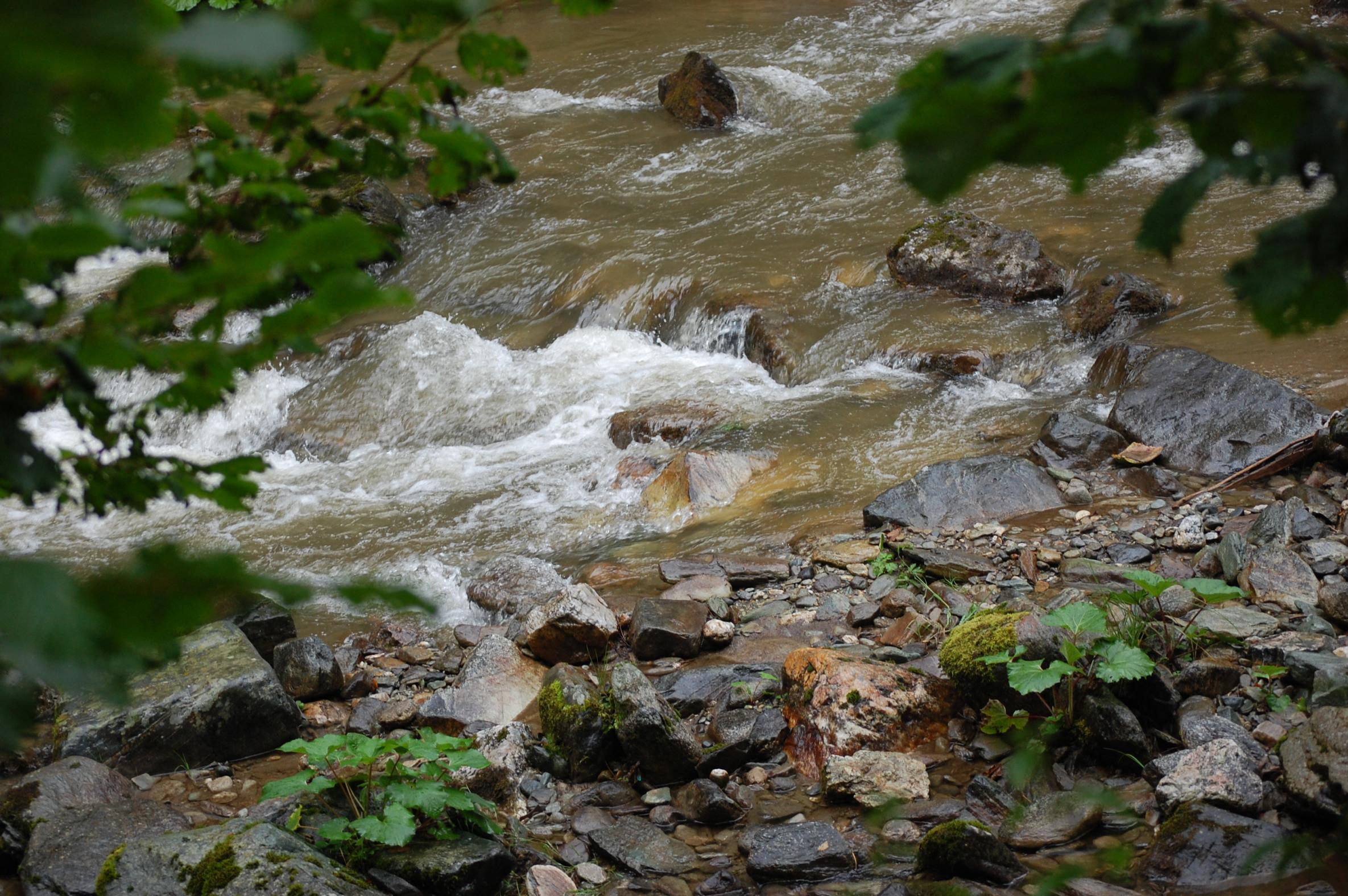 DSC_0049.jpg