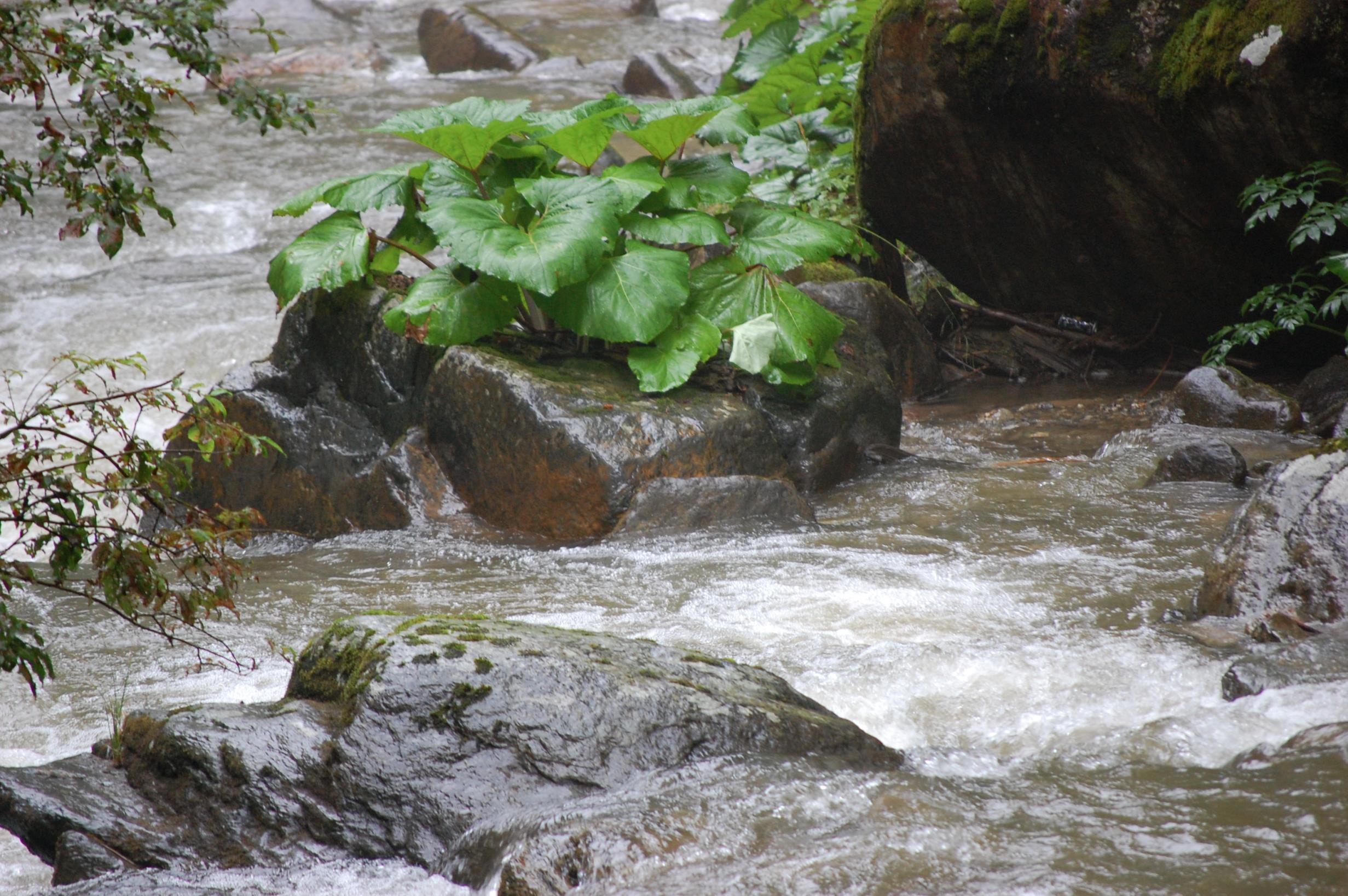 DSC_0052.jpg
