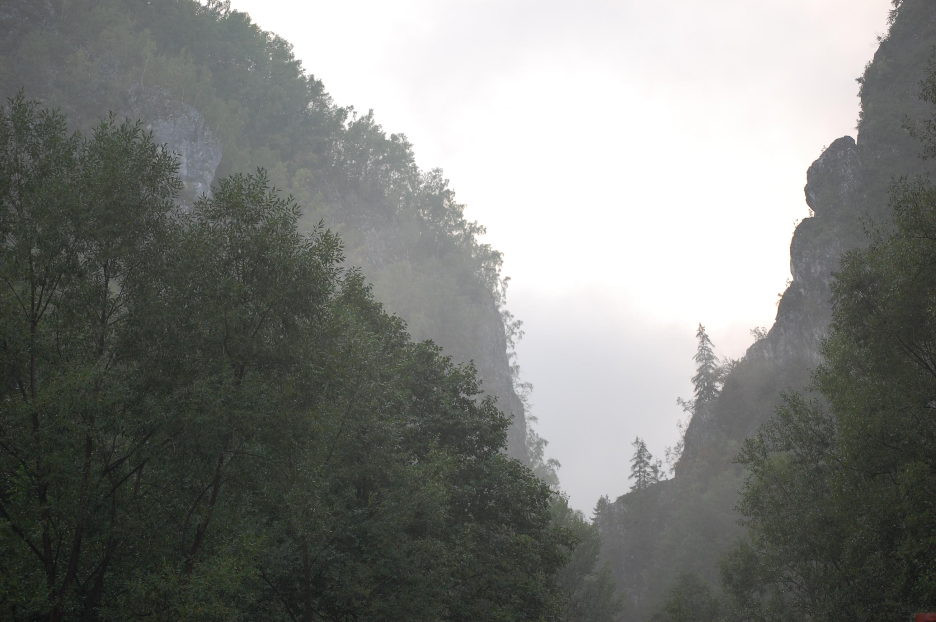 DSC_0054.jpg