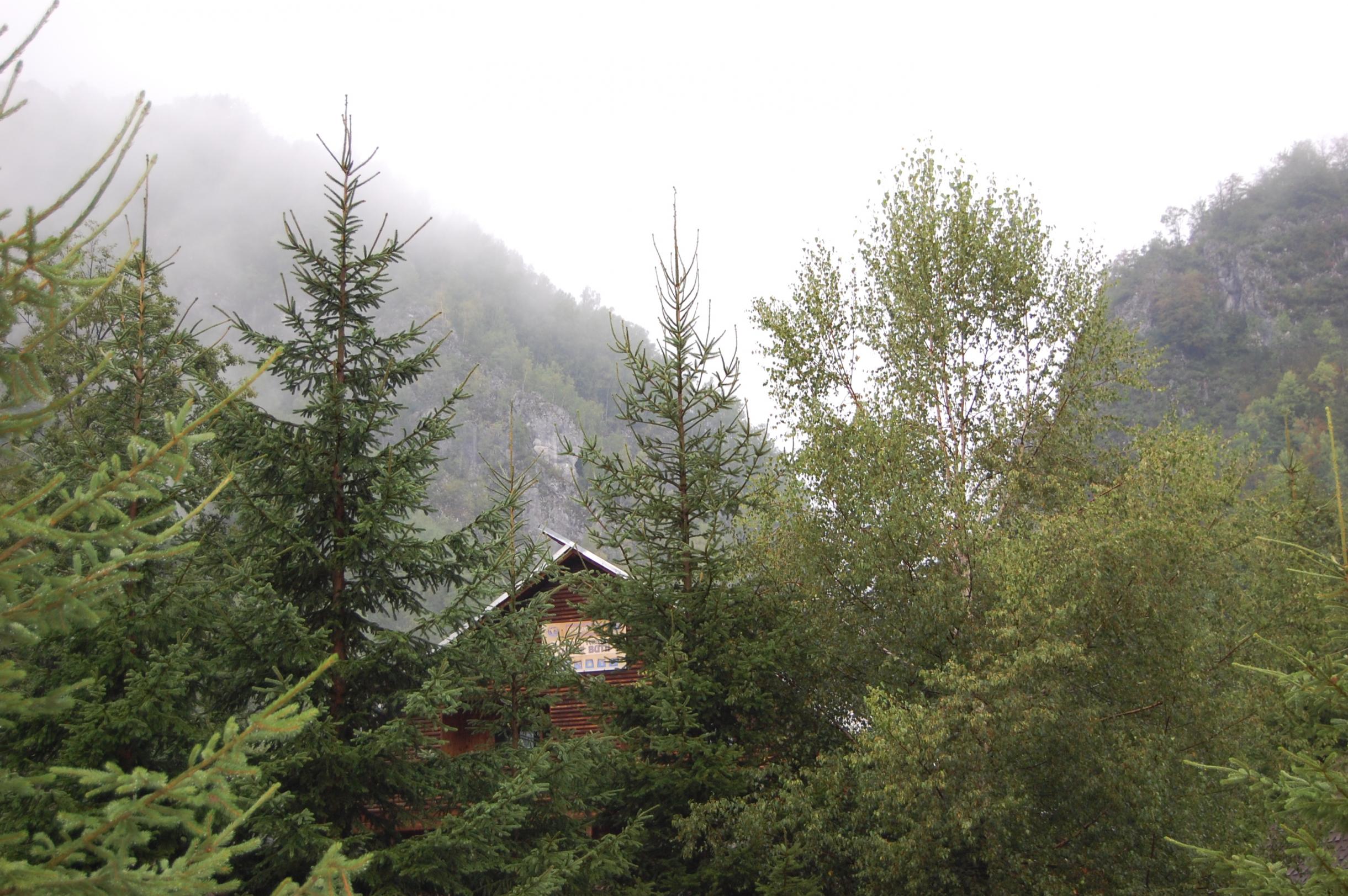 DSC_0070.jpg