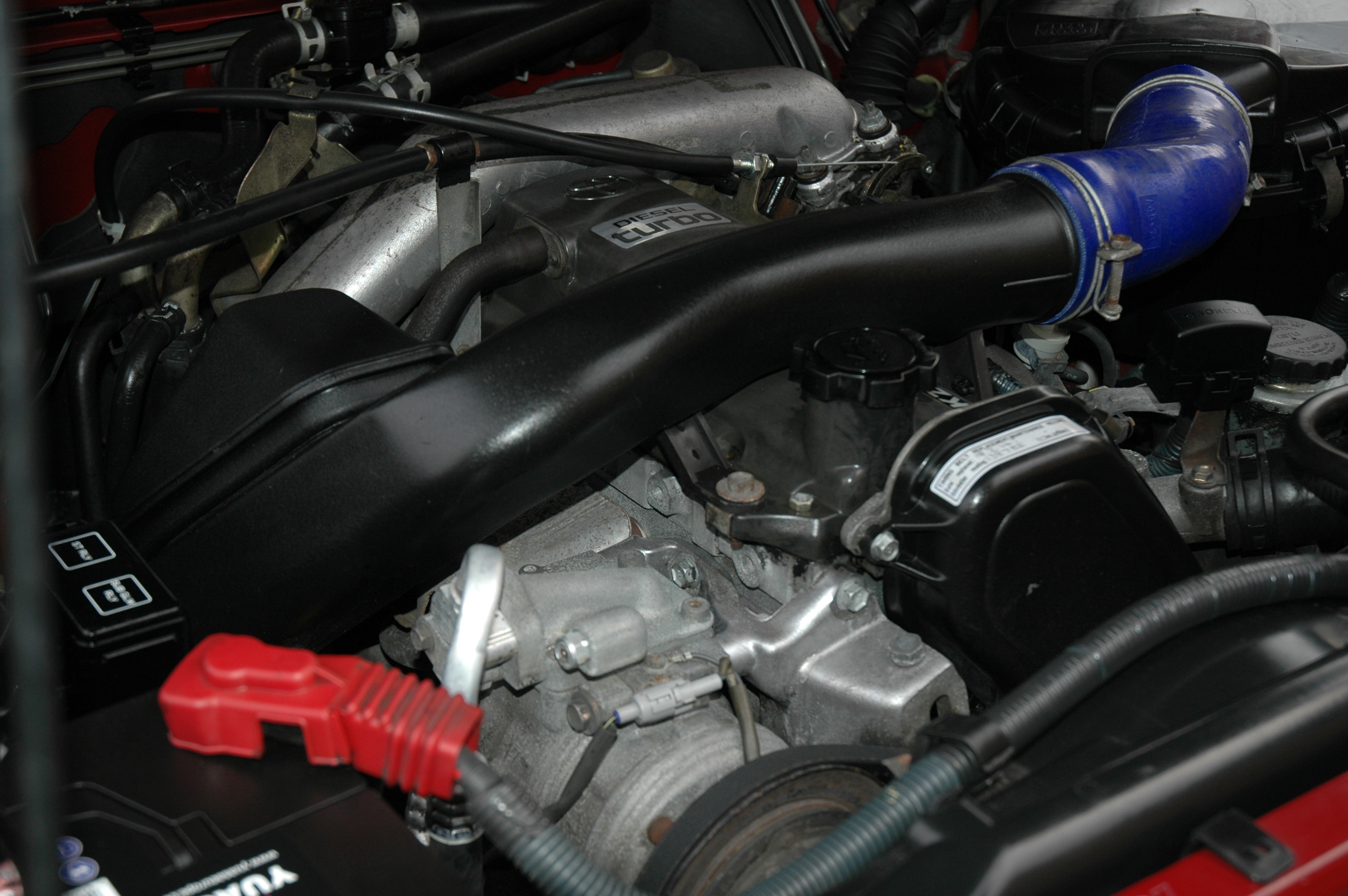 DSC_0076.jpg