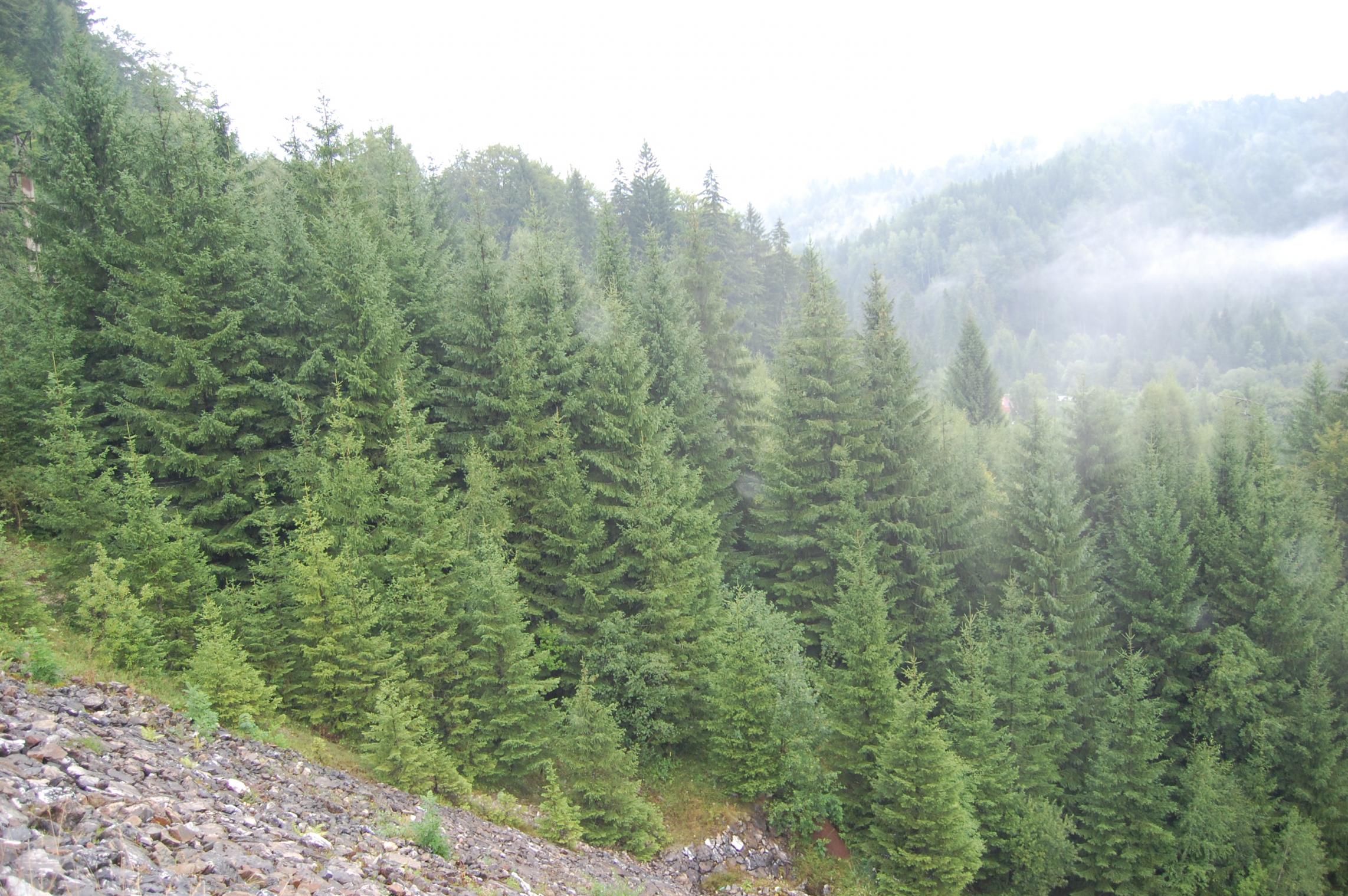 DSC_0093.jpg