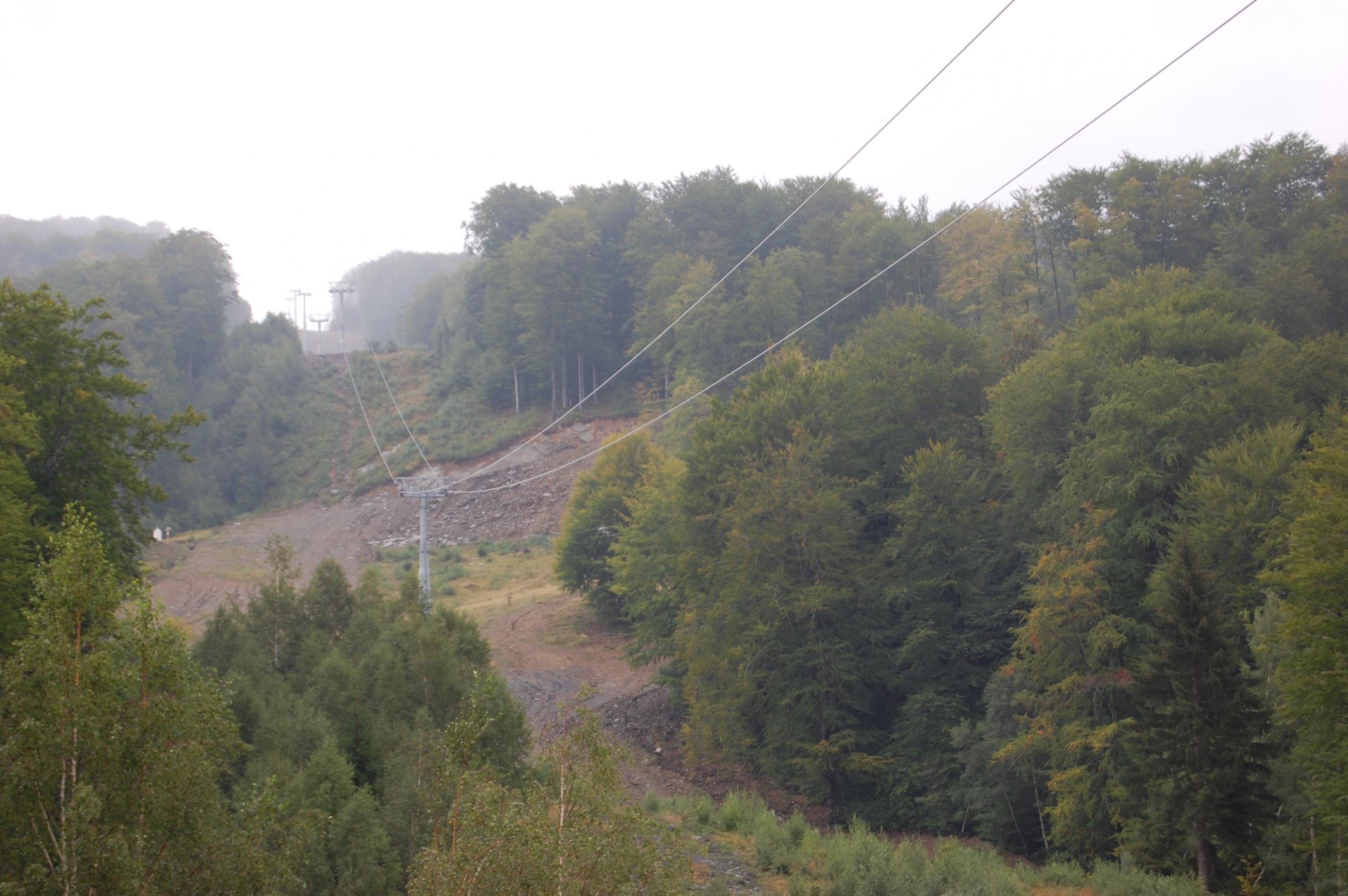 DSC_0125.jpg