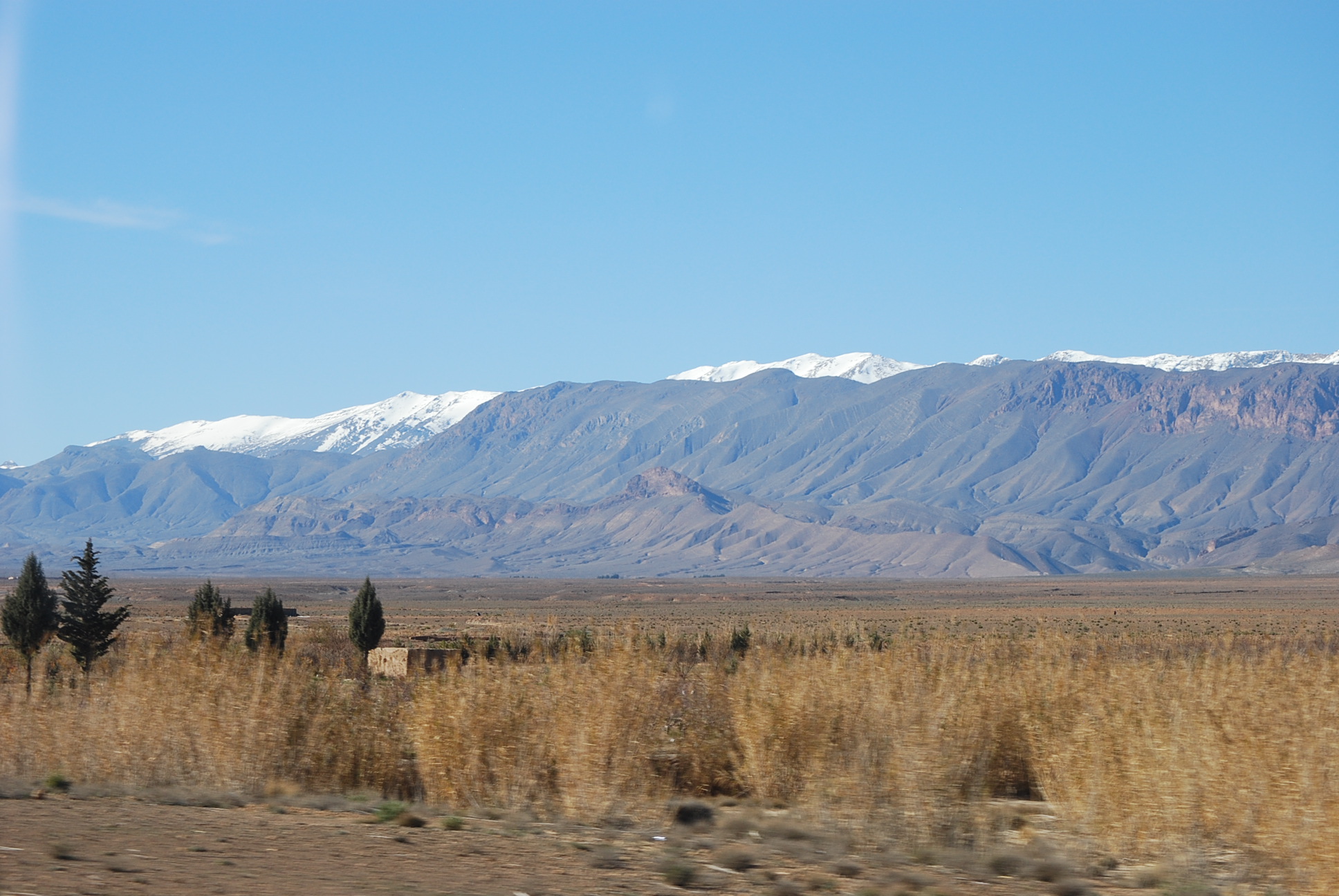 DSC_0184.JPG