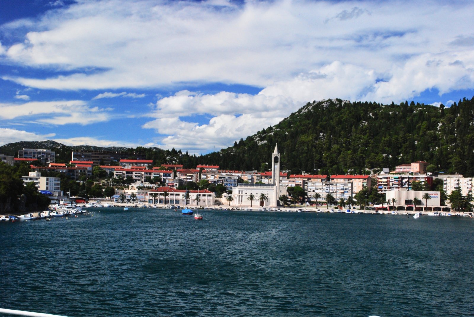 DSC_0207.jpg